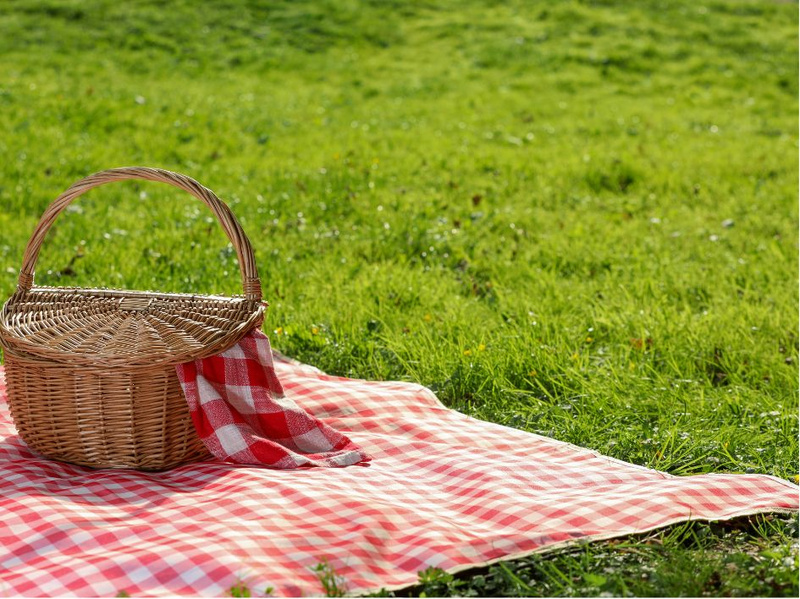 labour day picnic