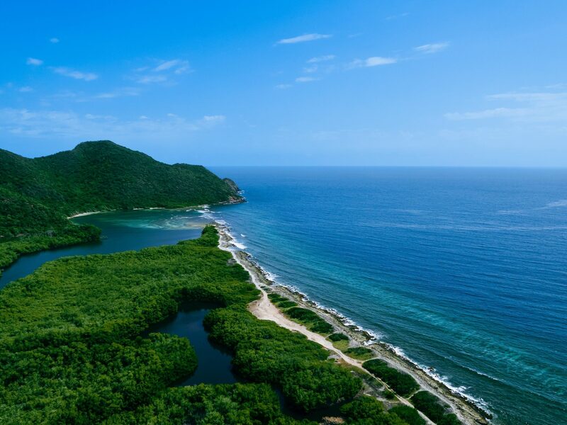 Image of 5 Venezuelan Dishes To Make At Home And Share With Friends article